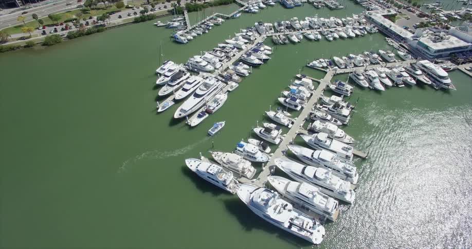Many boats are docked by a large city