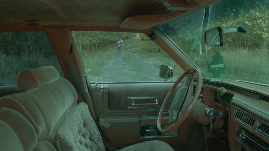 Young man running to a parked car on the countryside