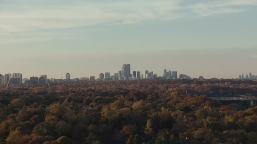 An aerial view of buildings in a skyline