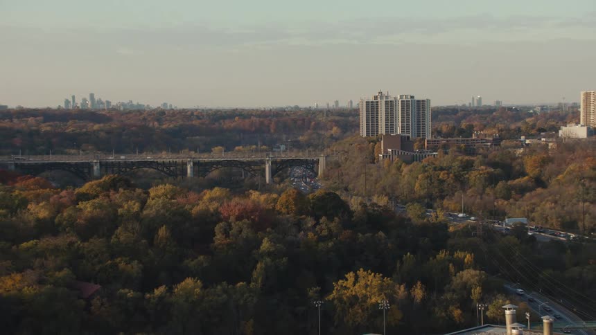 Cars are driving through a downtown city