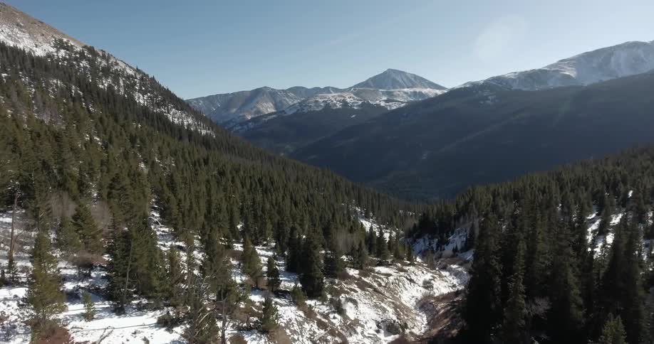 Aerial view of trees in a snowy area in a valley of mountains