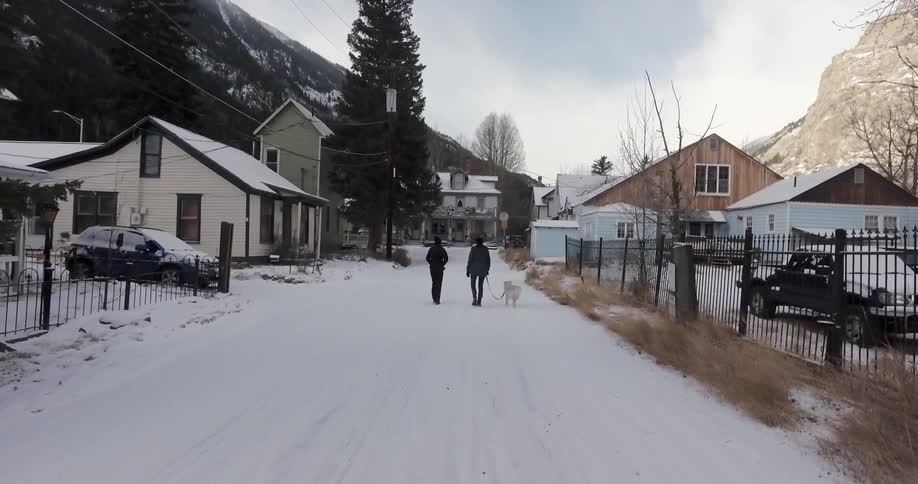 Moving down a neighborhood street with two people walking a dog