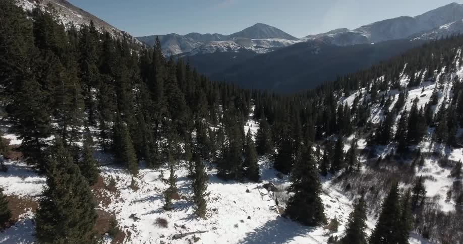 Aerial view of some snowy wilderness