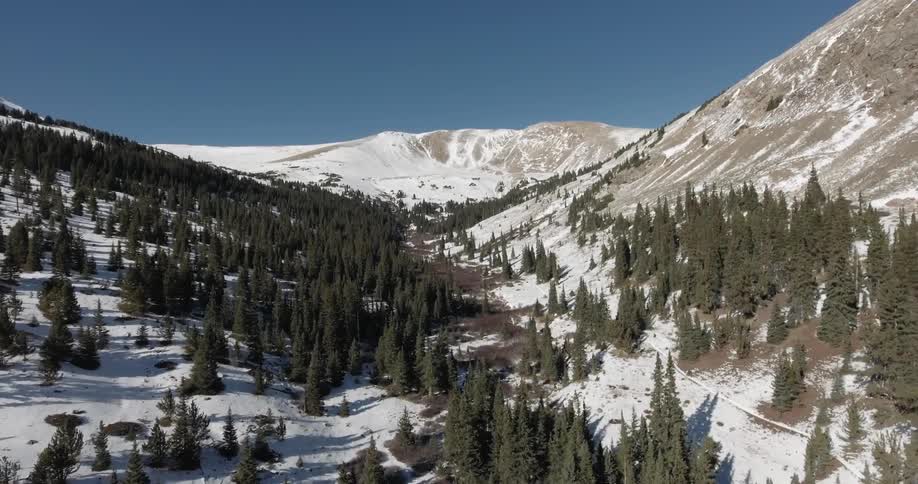 A snow covered valley with many pine trees