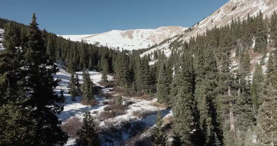 Trees, snow covered mountains, and ground on a clear day