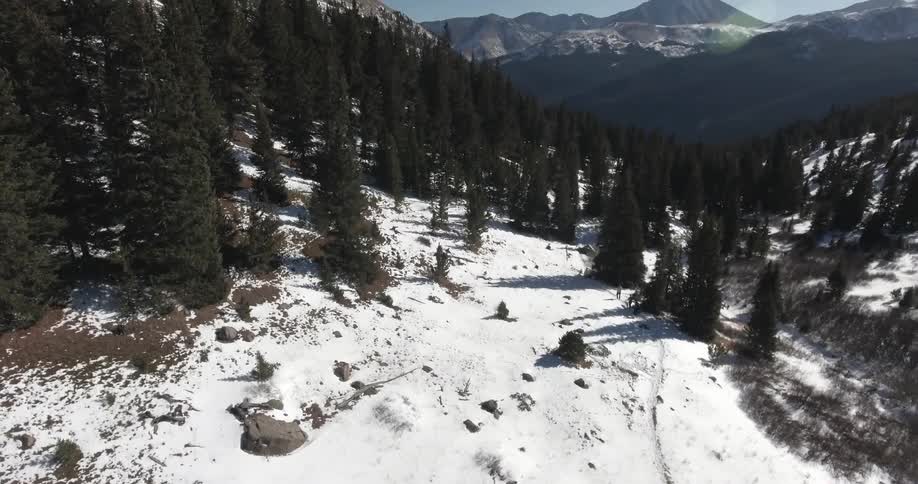 Trees, snow covered mountains, and ground on a clear day