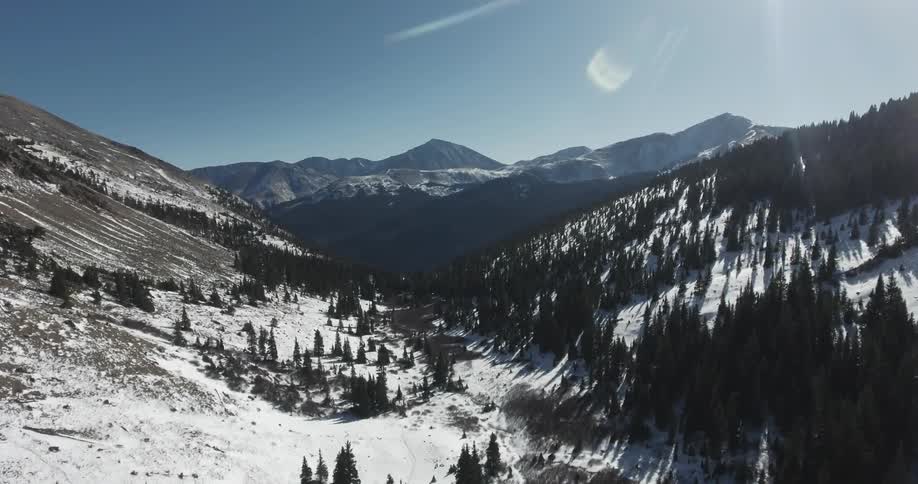 Trees, snow covered mountains, and ground on a clear day