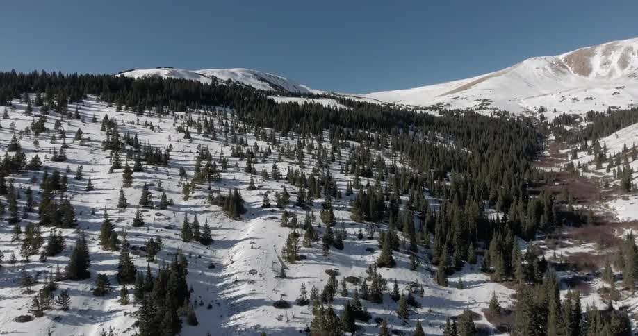 Trees, snow covered mountains, and ground on a clear day