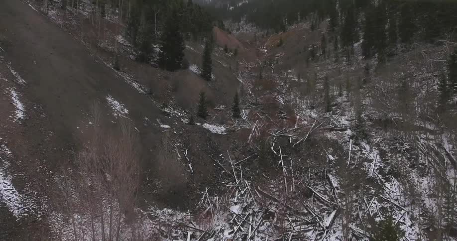 An aerial view of logs in a gulley in early spring