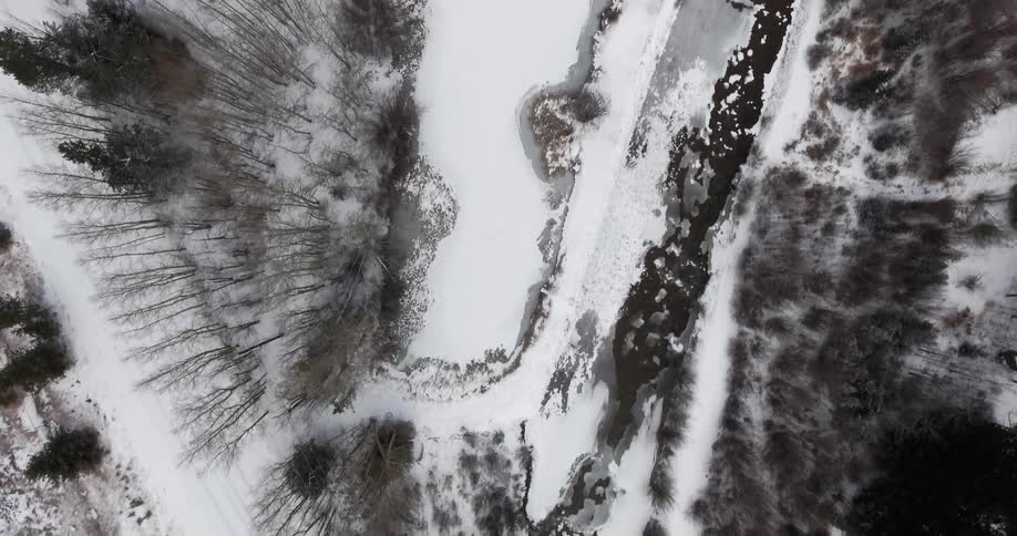 Aerial view of snow covered area with trees