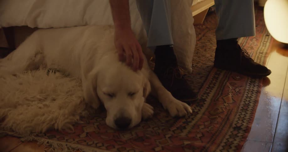 A man sits on a bed at home and reaches down and pets his dog