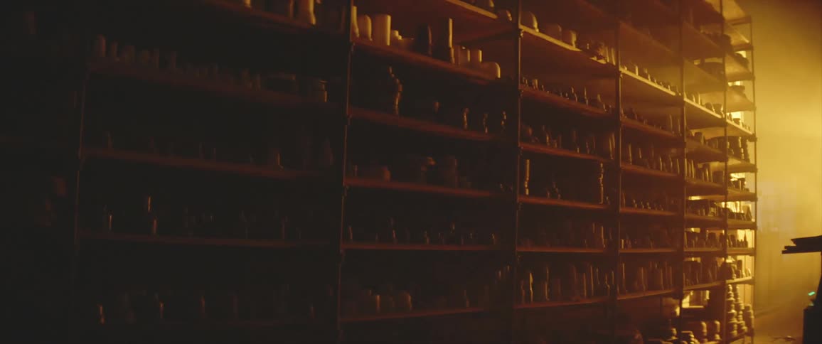 Golden sunlight shines onto shelves holding hundreds of ceramic pottery pieces