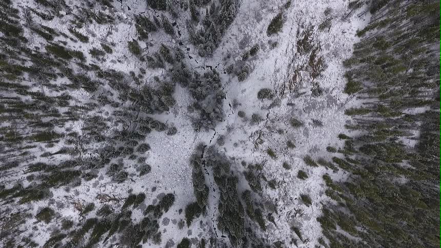 Aerial view of a mountain covered with trees and snow