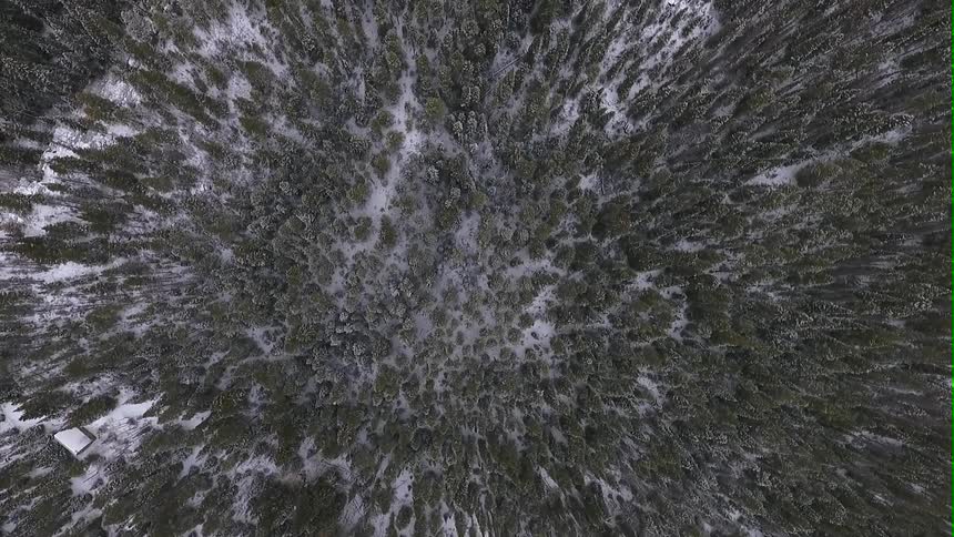 Direct overhead view of a snowy forest from a camera very high above
