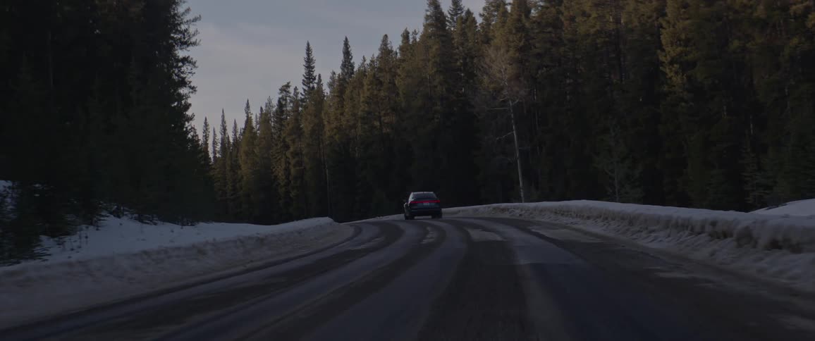 A car is driving on the road near the forest