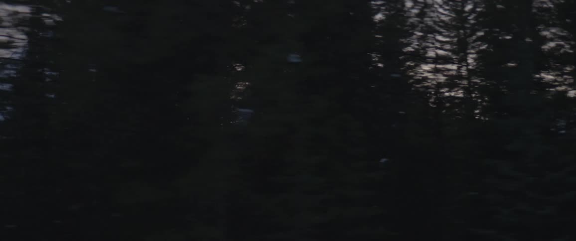Snow covered peaks of a mountain range near a pine tree forest at morning