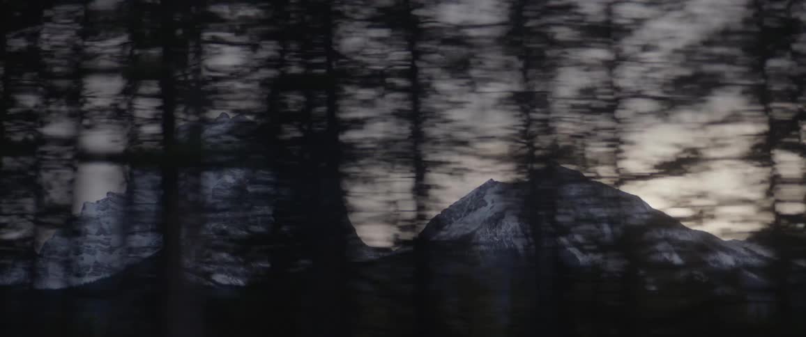 Trees with a mountain range covered in snow with the sky and clouds in the background