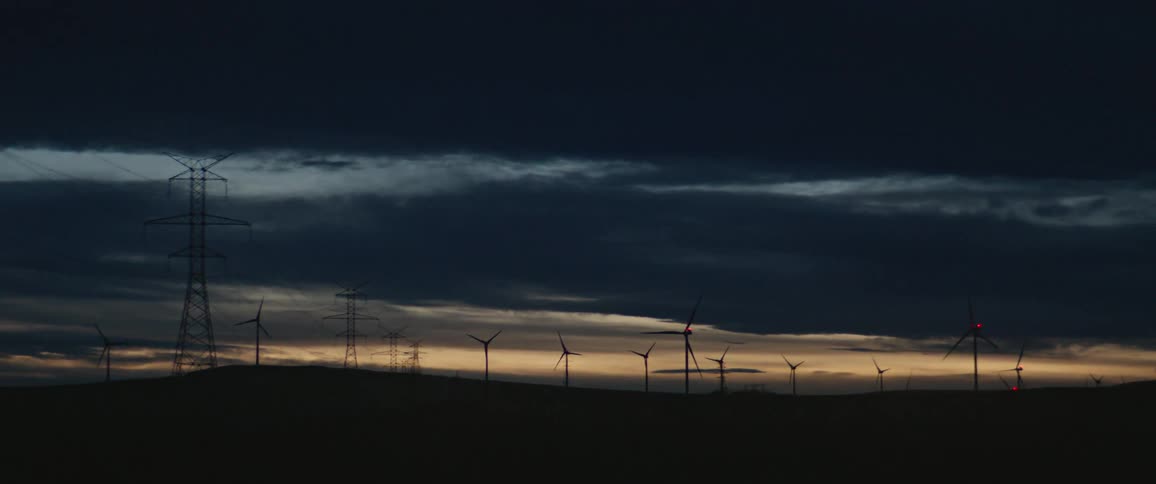 The field is full of windmills