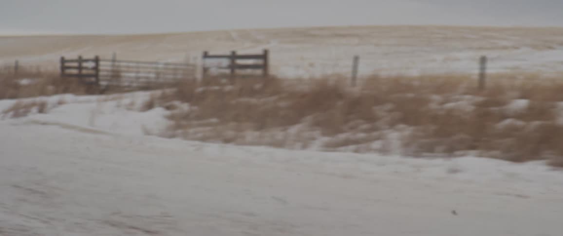 An audi vehicle drives along a desert dirt road