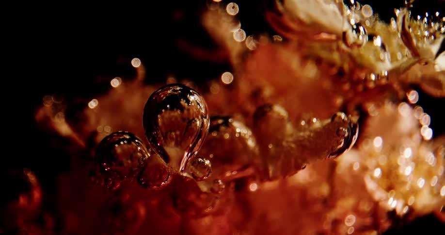 Gold black and white colors that look like a plant underwater with bubbles
