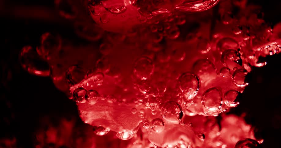 White flowers submerged in water flowing with red ink on a black background