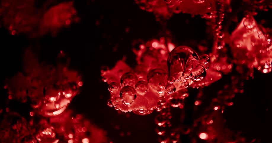Red black and pink colors that look like plants underwater with bubbles