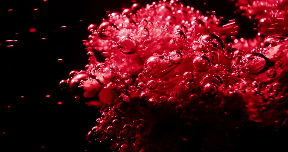 A close up of a plant under water with bubbles flowing past it
