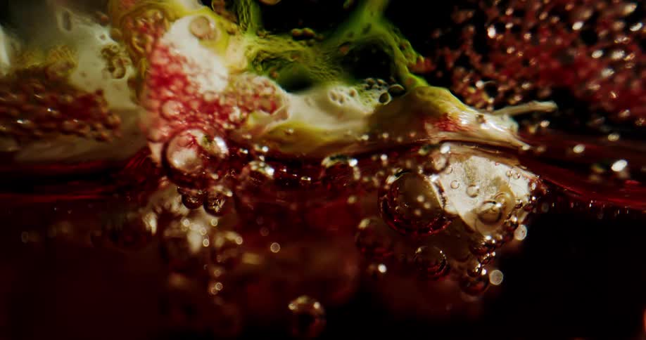 Bubbles rise in the dark water