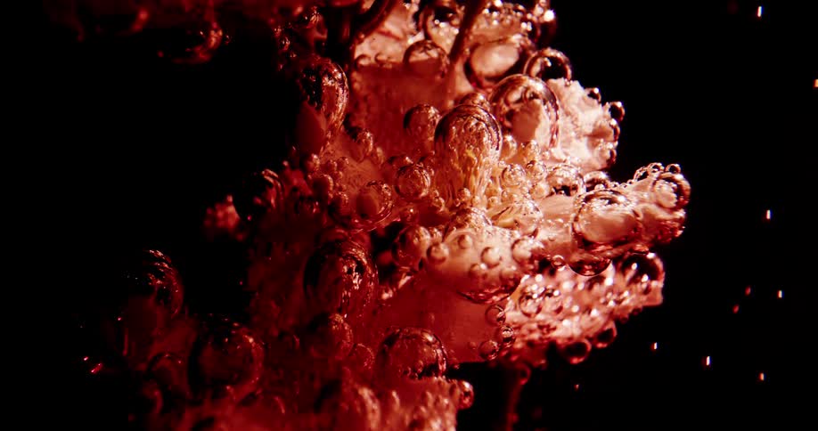 Red pink and black colors that look like a plant underwater with bubbles