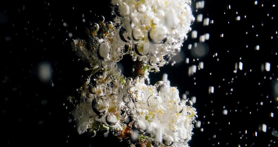 Particles float up past cluster of large bubbles and white foam speckled with green and red
