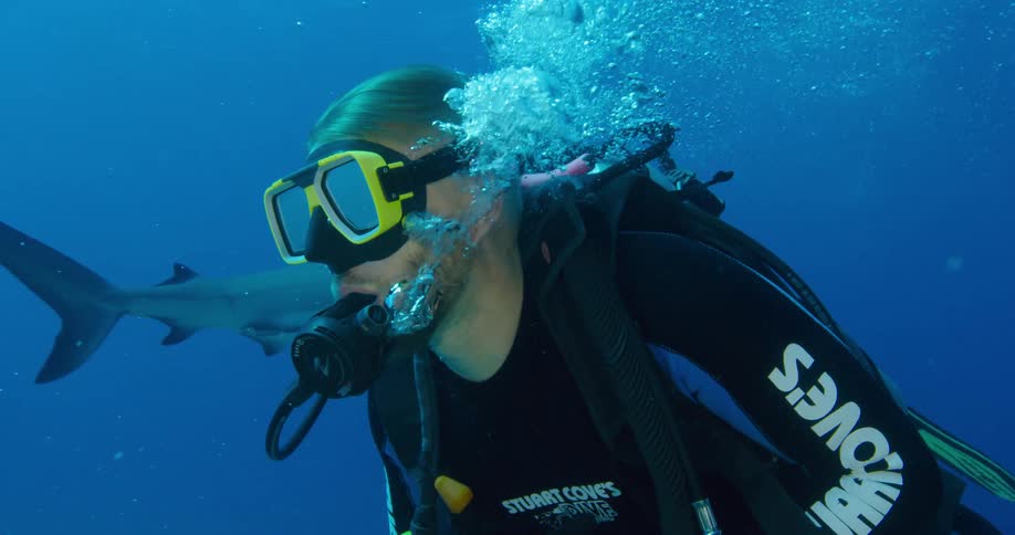 Scuba diver swimming with sharks on the blue ocean waters