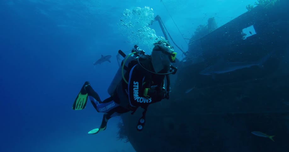 A person with scuba gear swimming underwater by a shipwreck with sharks in the background