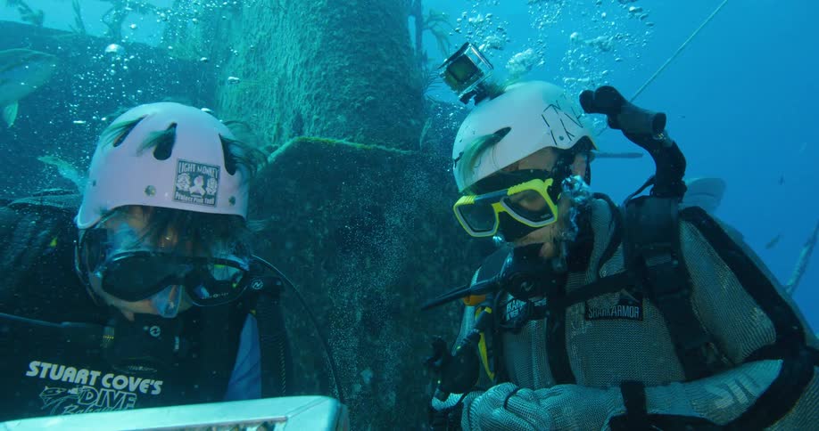 Two scuba divers standing over a sunken ship surrounde by sharks on the bottom of the ocean
