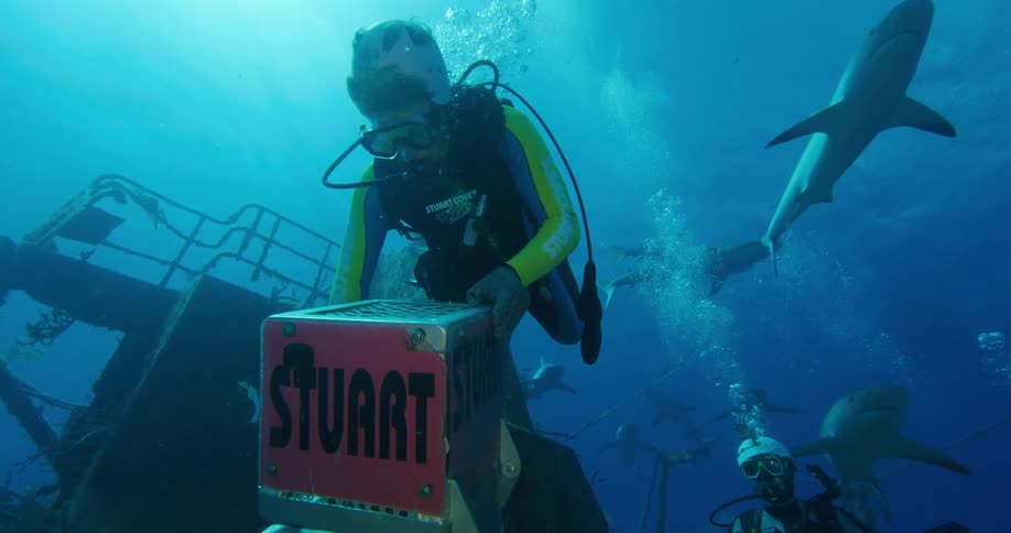 People with scuba gear swimming underwater on a shipwreck with sharks