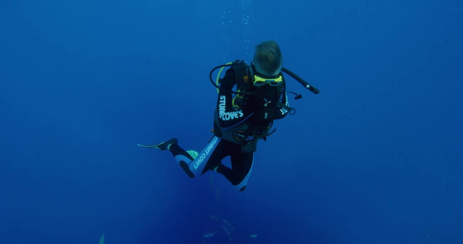 A man is scuba diving under water in the ocean