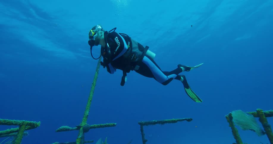 A person with scuba gear swimming underwater by a shipwreck with a shark in the background
