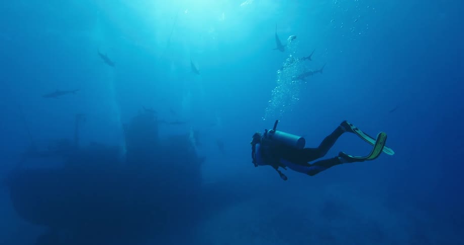 Scuba diver with yellow flippers swims toward murky shipwreck surrounded by sharks as light from surface brightness area