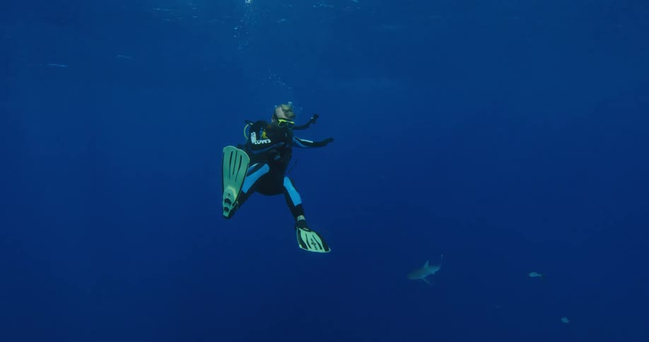A person with scuba gear swimming underwater with a shark