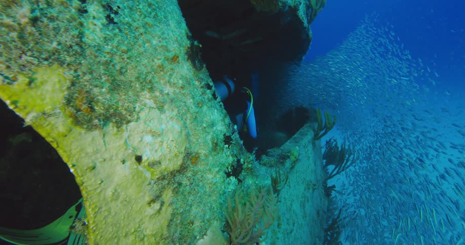 A person with scuba gear swimming underwater by a shipwreck with fishes in the background