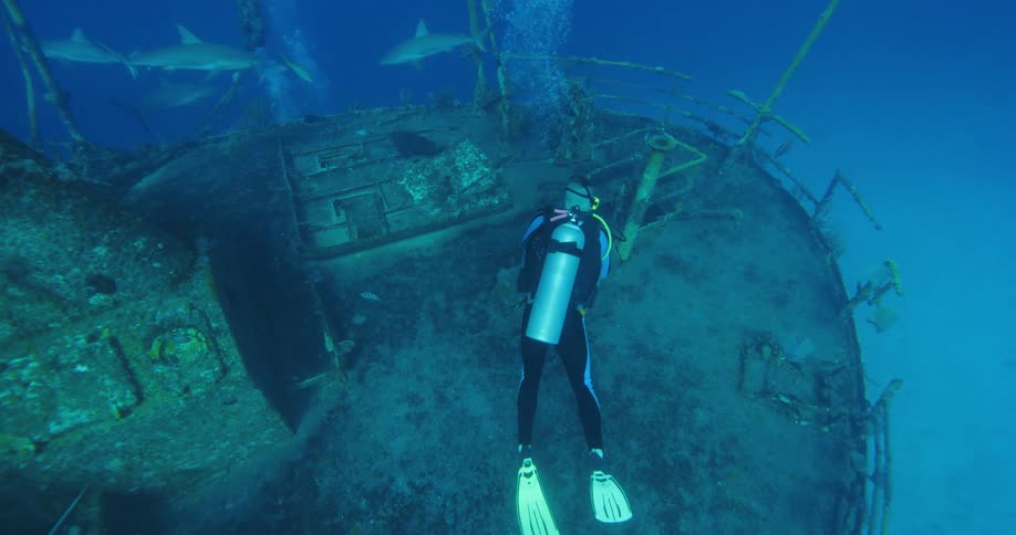Scuba diver swimming over a sunken wrecked ship surrounded by sharks