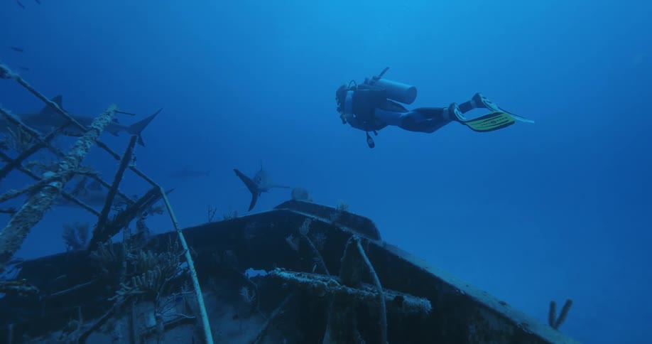 A diver is swimming over the sunken ship
