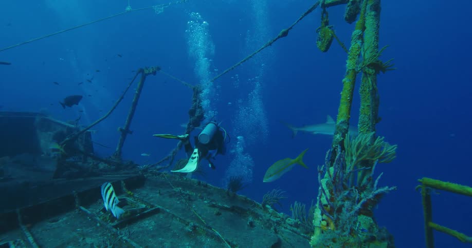 A diver swims among fish above an abandoned boat at the bottom of the ocean