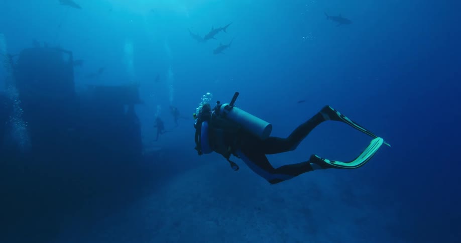 A diver is swimming towards the sunken ship