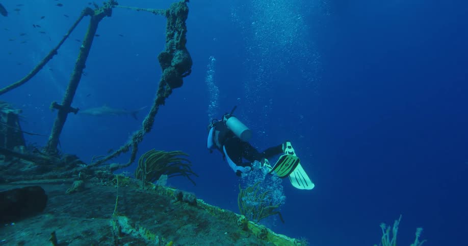 A scuba diver is swimming underwater around the ship