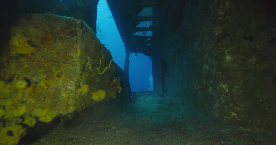 A diver swims through a hallway in a shipwreck underwater
