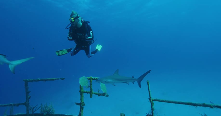 A man is scuba diving as sharks swims around him