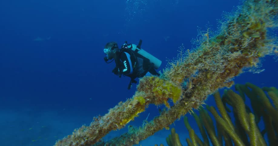 Scuba diver lets out bubbles as they swim past kelp in blue water over sandy bottom