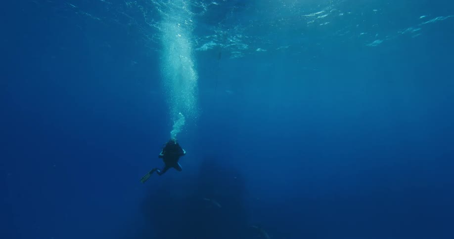 A diver swims toward the bottom of the ocean