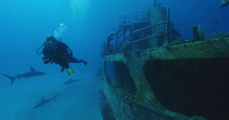 A diver is swimming past the shipwreck