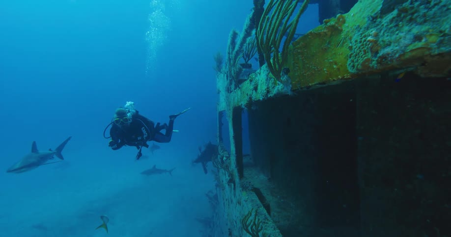 A diver is swimming past a sunken boat